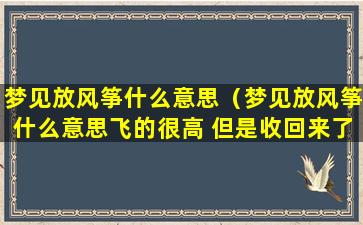 梦见放风筝什么意思（梦见放风筝什么意思飞的很高 但是收回来了）